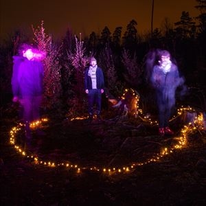 The Notwist The Notwist