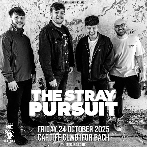 The Stray Pursuit