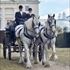 Winter Rides In Richmond Park