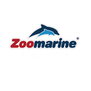Zoomarine Oceans Of Fun Zoomarine Oceans Of Fun