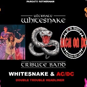 ULTIMATE WHITESNAKE V HIGH ON DC AC/DC DOUBLE