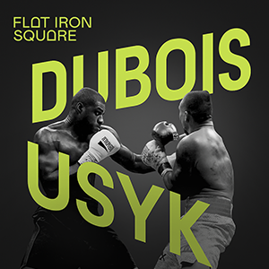 Usyk vs Dubois 2