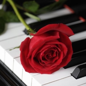 VALENTINE'S MOONLIGHT SONATA CMP24