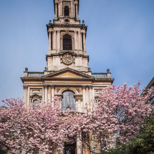 Vivaldi Guitar Concerto by Candlelight
