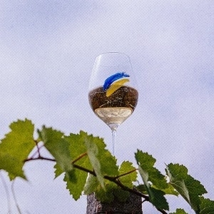 Wines of Ukraine | Walk-around Tasting