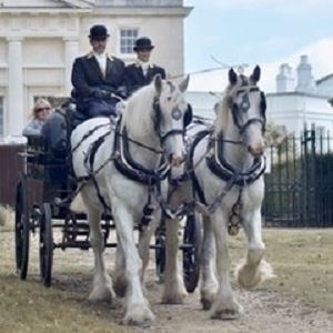 Winter Rides In Richmond Park