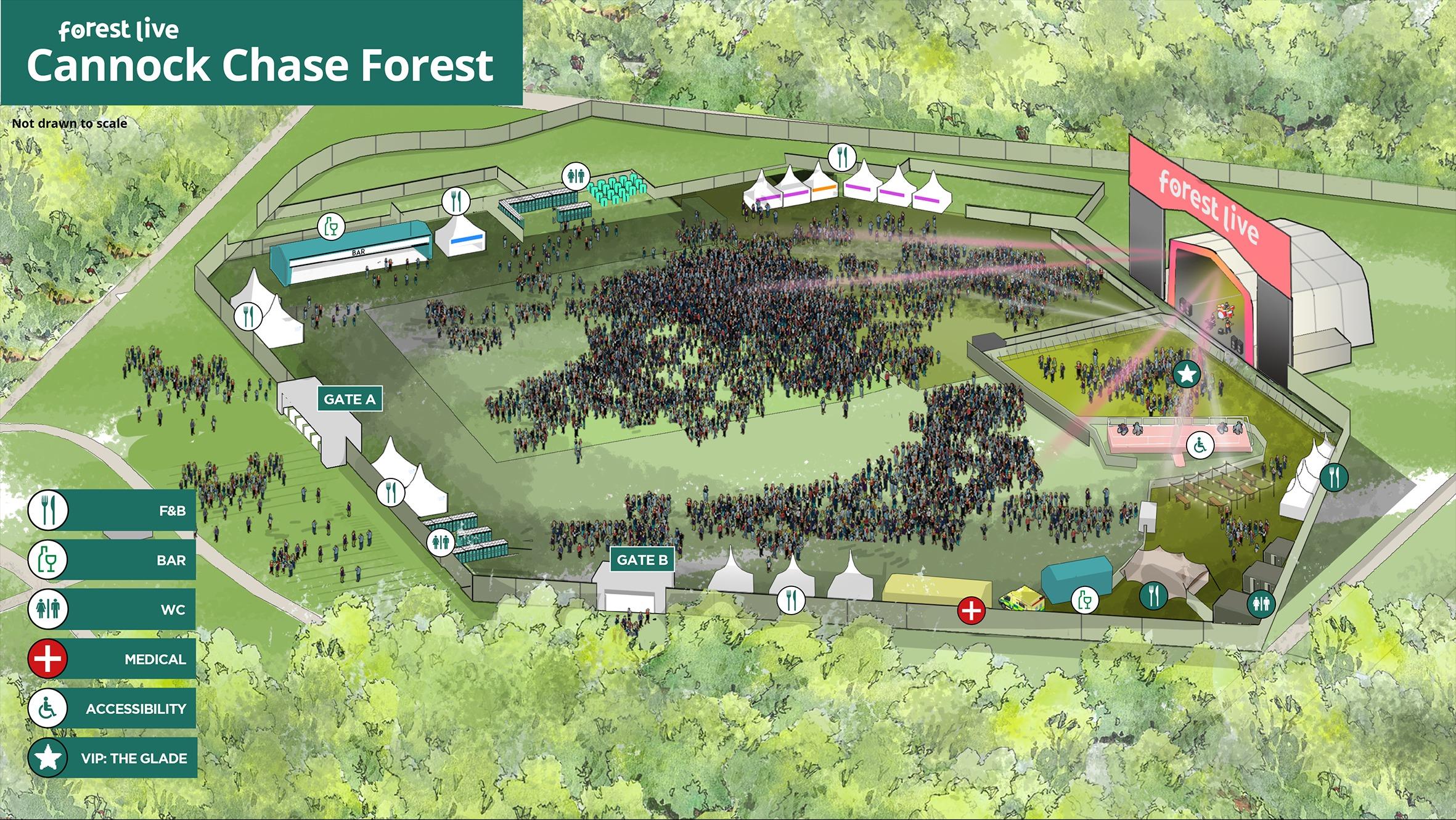 Cannock Chase Forest