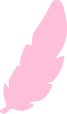 FEATHER_pink.png