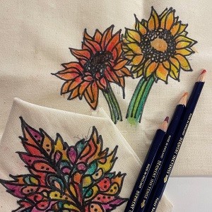 234-Inktense Colouring