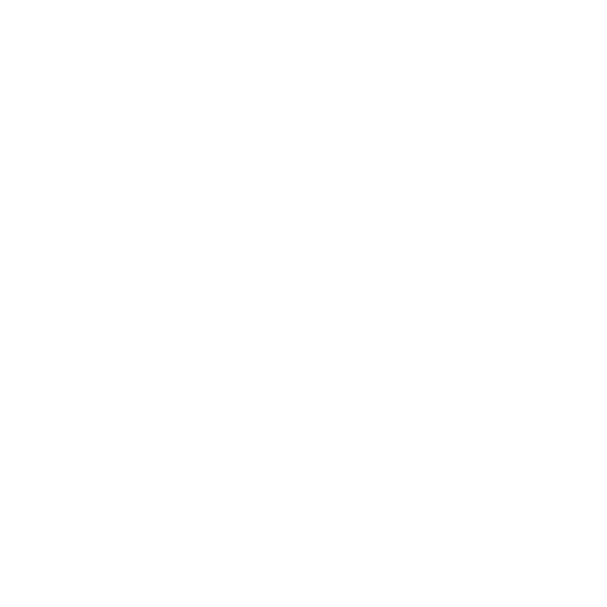 Northern Lights Newcastle