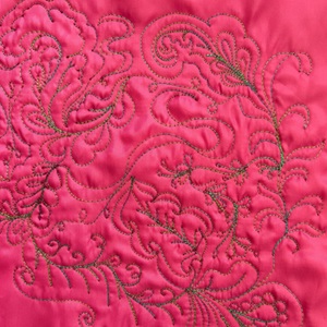 065-Free Motion Motifs: Feathers & Vines